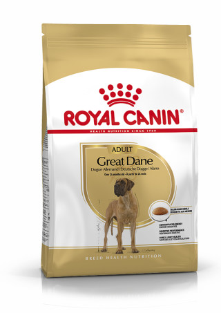 Great Dane